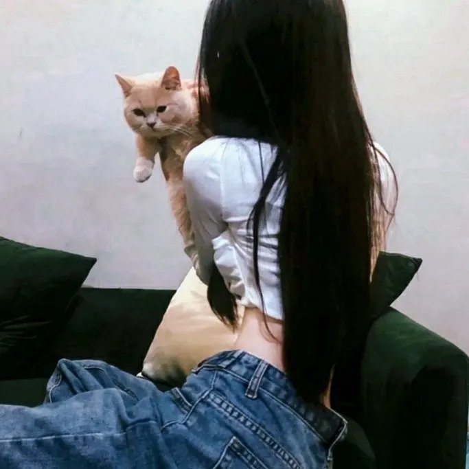 绅士的天启同盟在线观看
