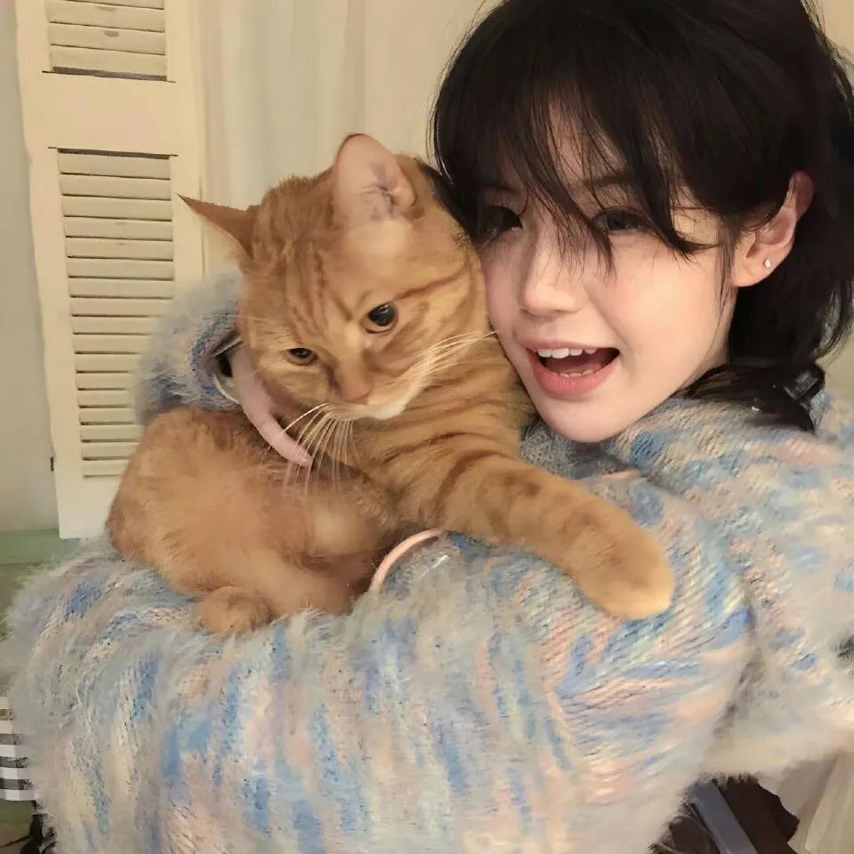 猫和粉茎在线观看